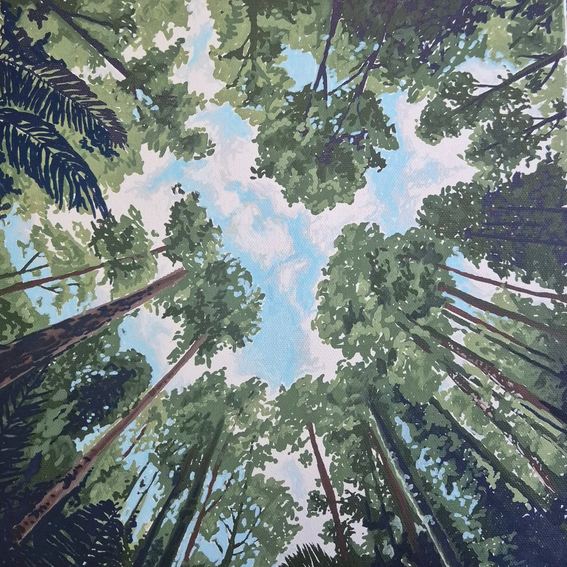 Artwork of the view looking up at the canopy of a forest with tall trees and patches of blue sky through the leaves.