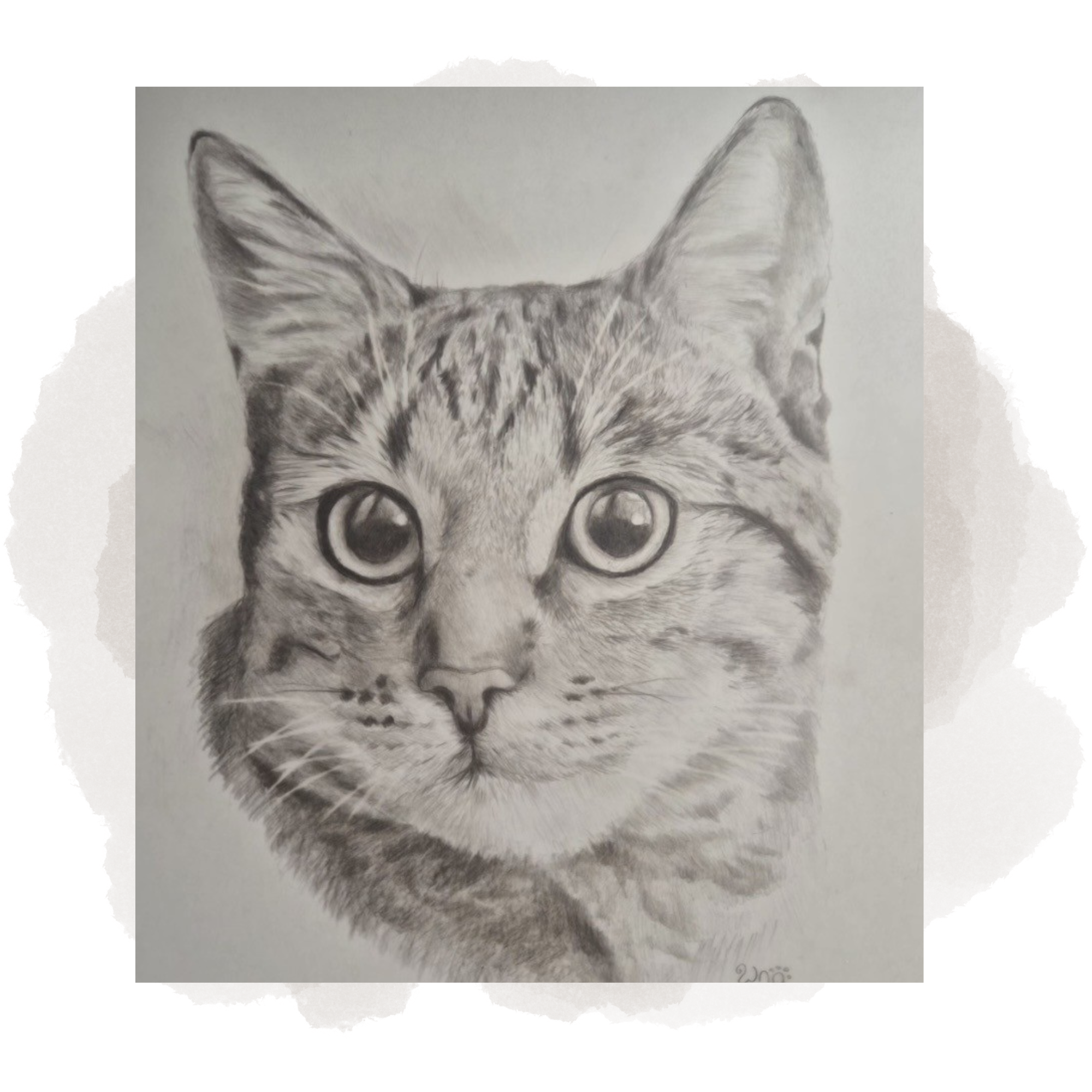 A detailed pencil sketch of a kitten's face, showing large, expressive eyes, pointed ears, and fur markings.
