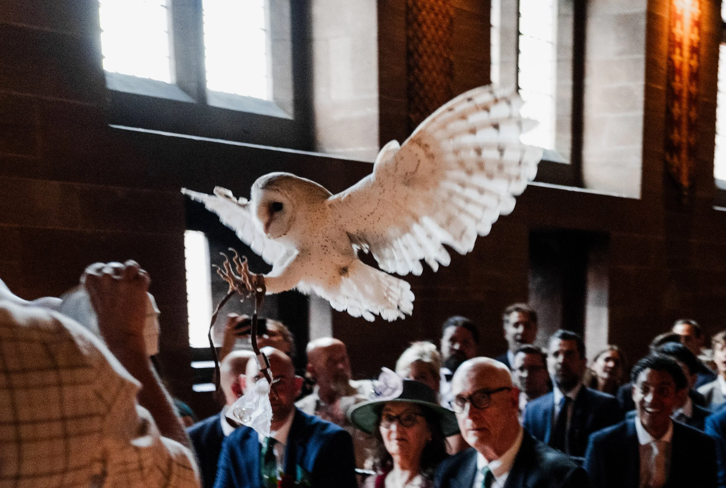 Peckforton Castle - a white barn owl flying over wedding guests heads and landing to deliver rings. 