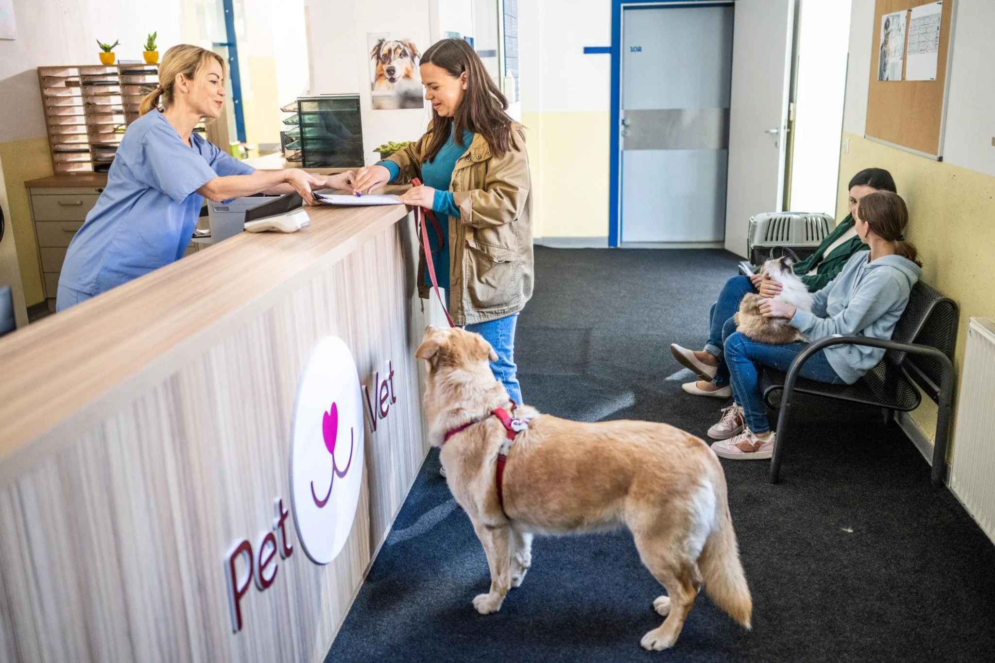 Why Veterinary Clinics Need Organized Bookkeeping