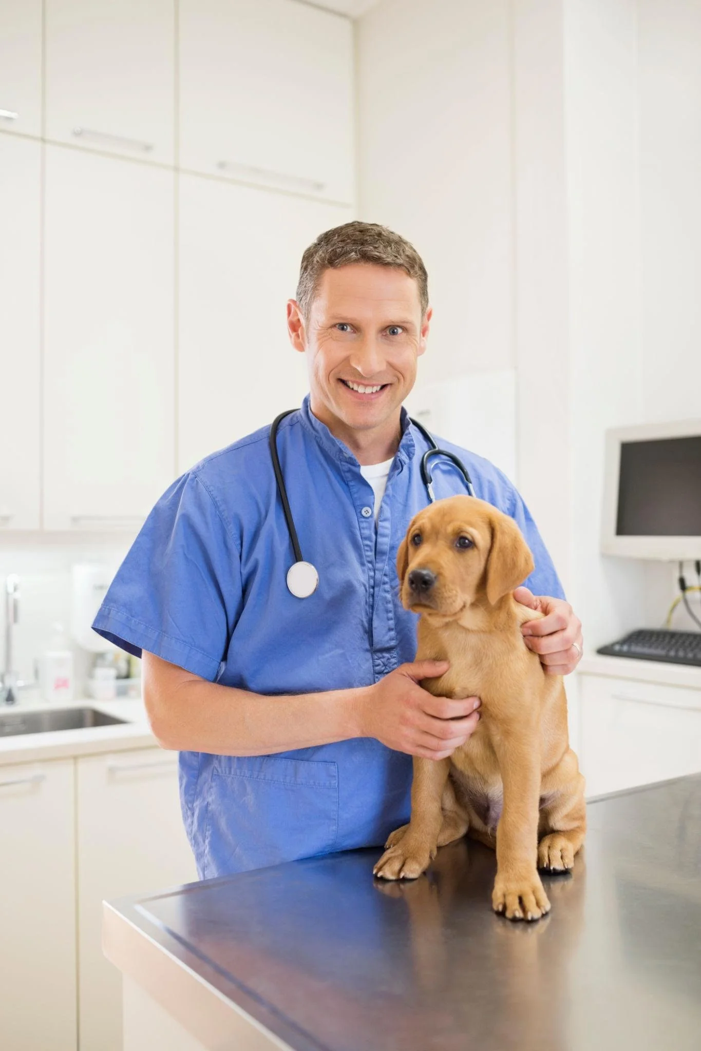 Why Veterinary Clinics Shouldn't Overlook Bookkeeping