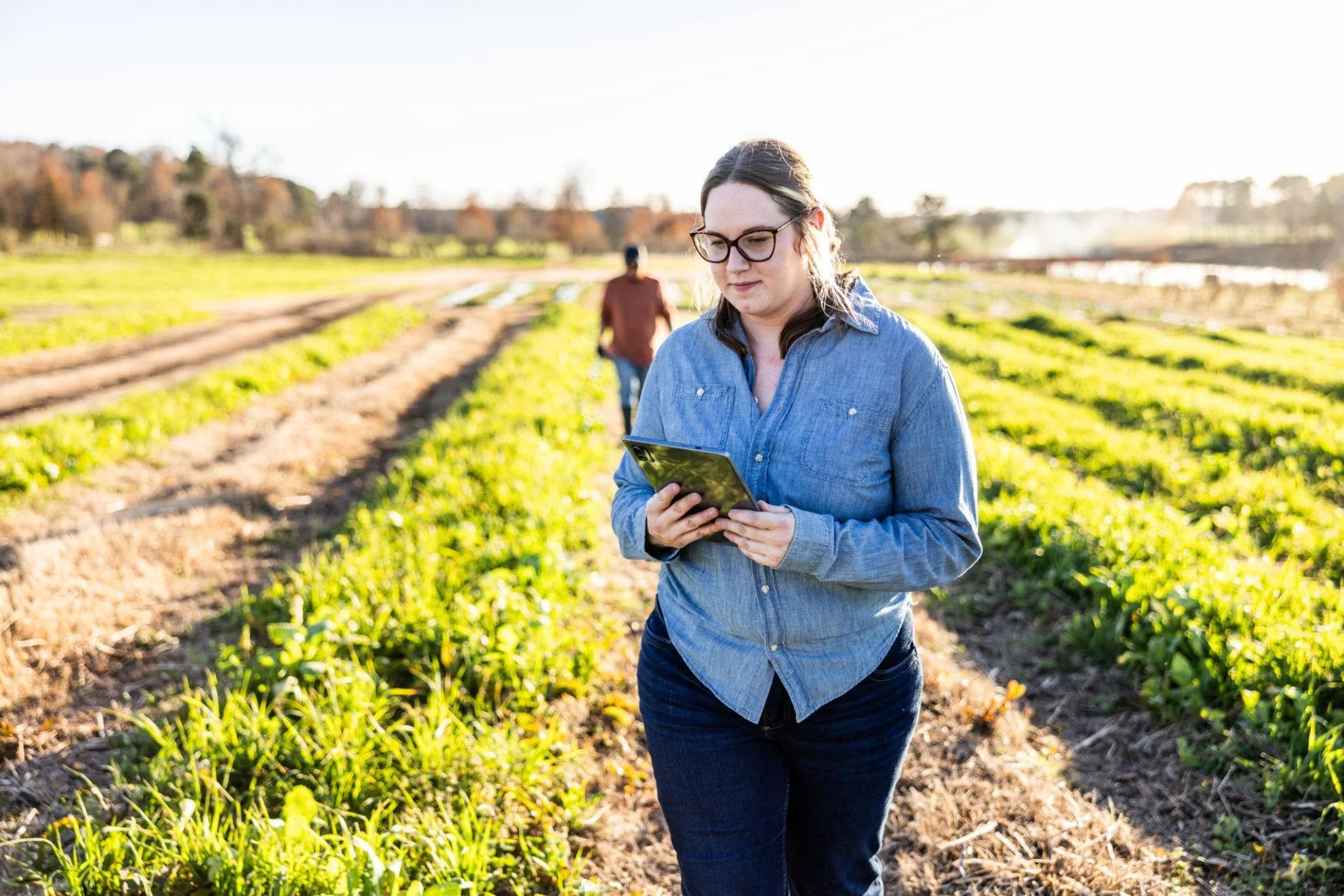 Bookkeeping Support for Farmers