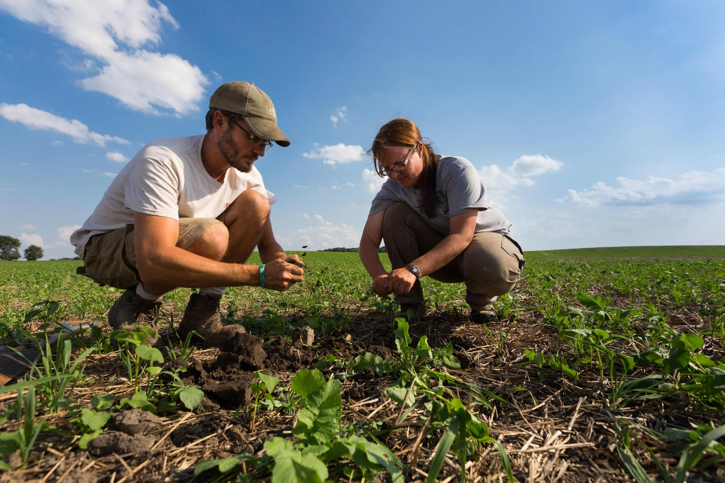 Bookkeeping Support for Regenerative Farms