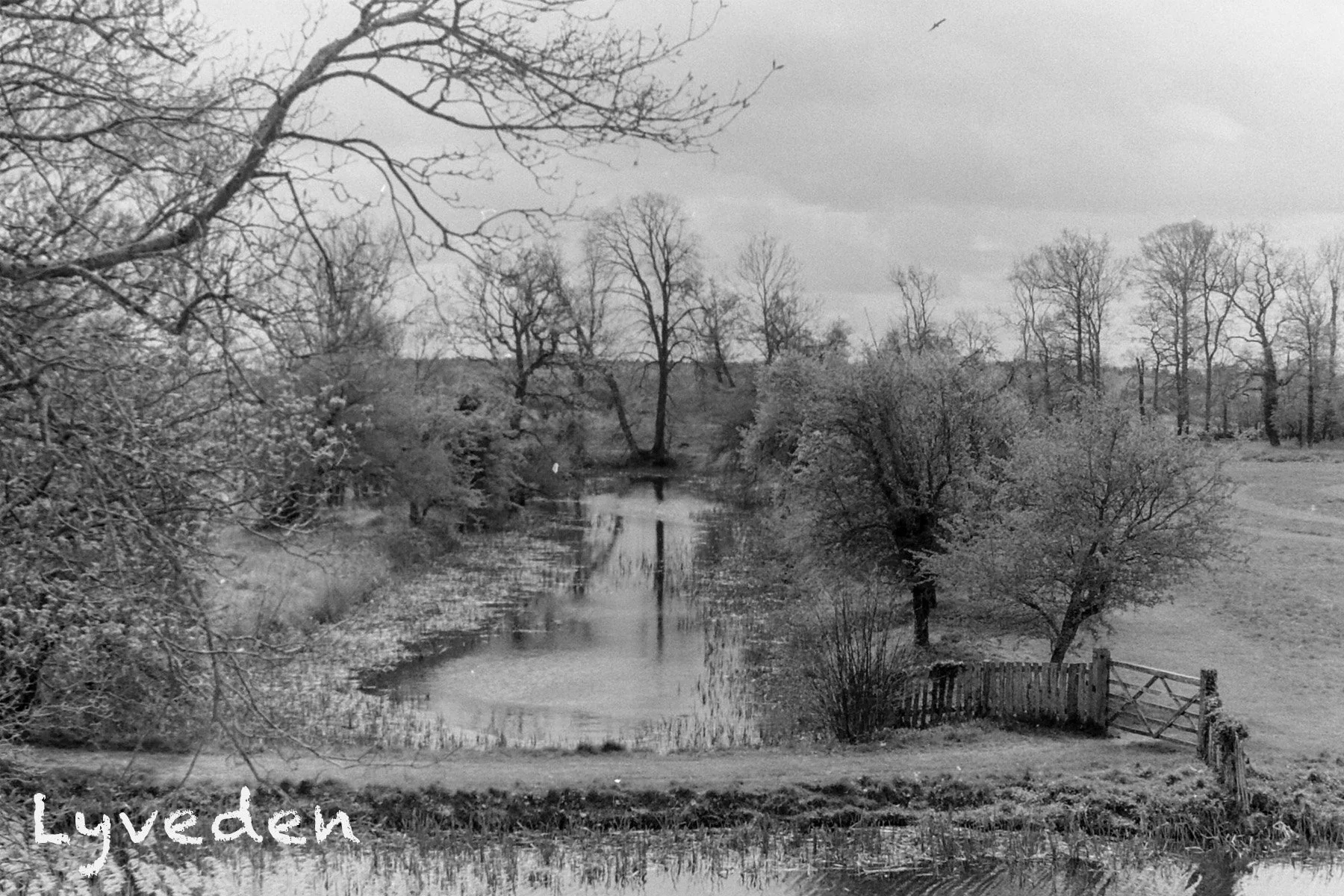 Postcard 1 copy 2.jpg