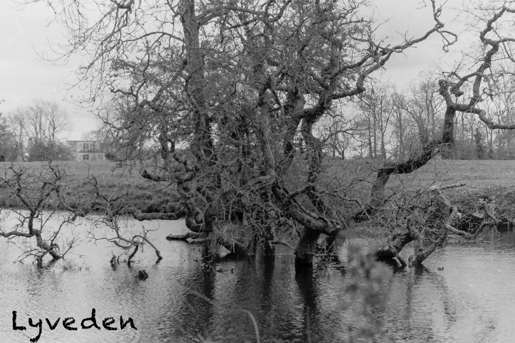 Postcard 2 copy 2.jpg