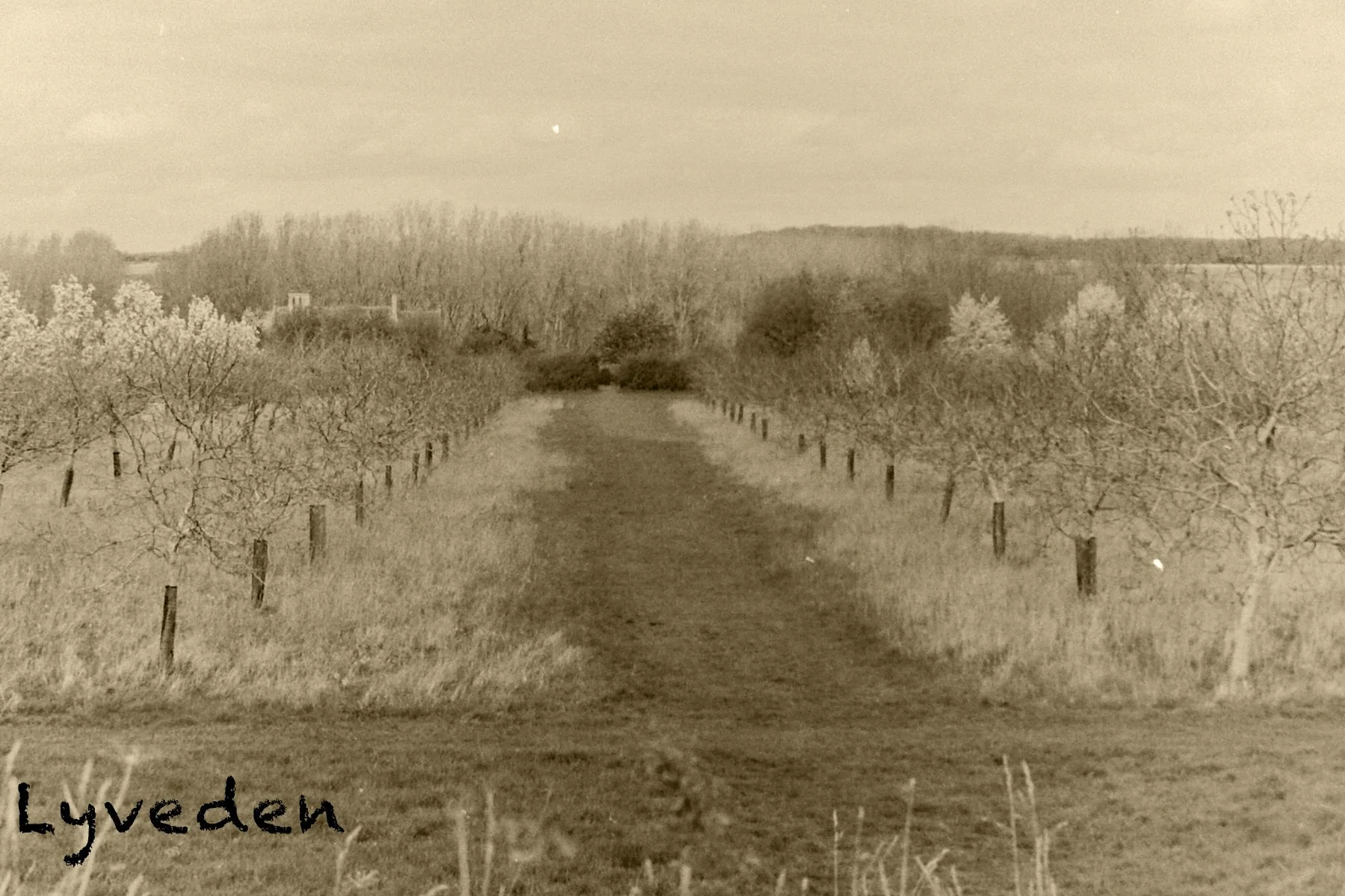 Postcard 3 copy 3.jpg