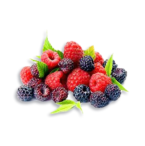 Berries