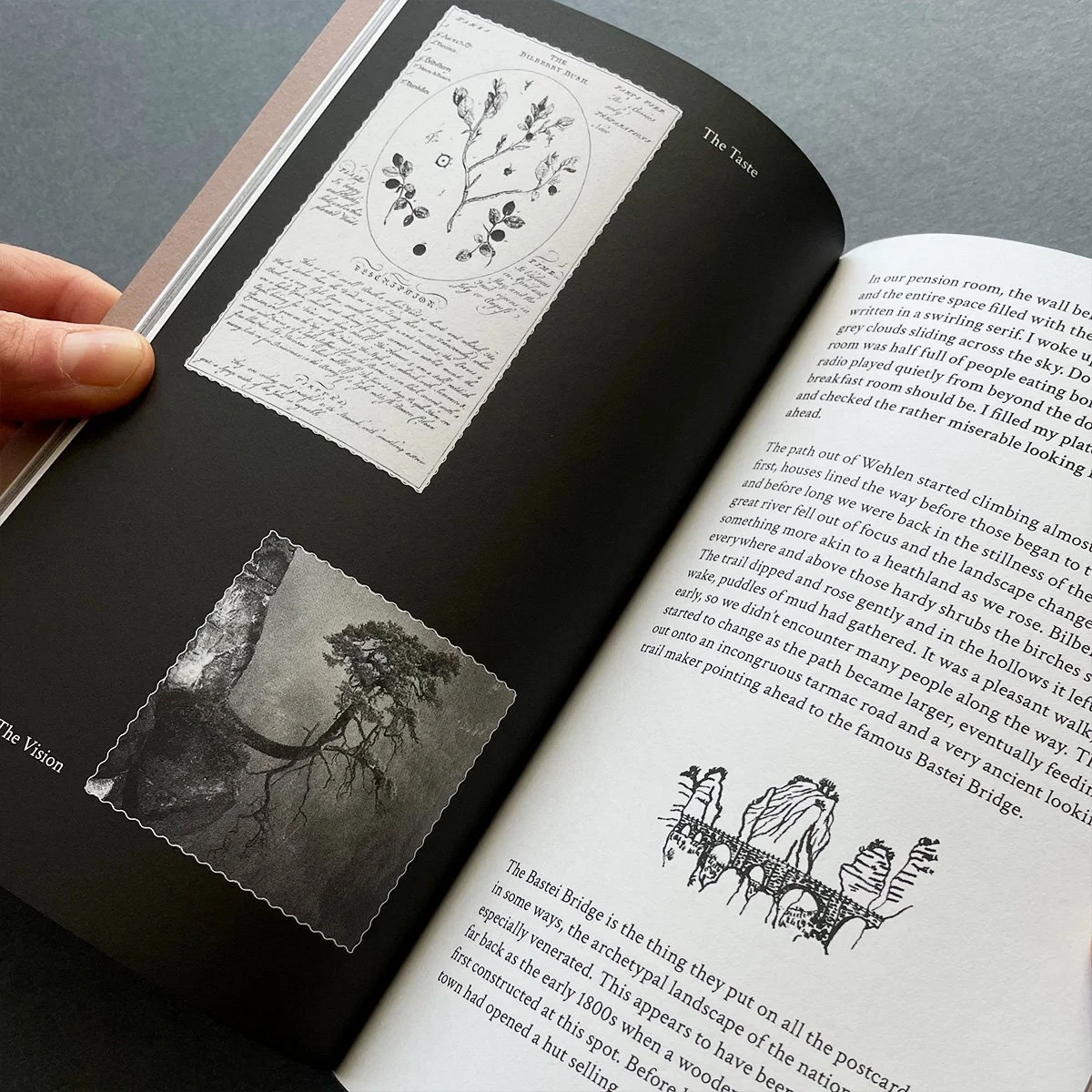 Wanderweg Zine Issue 2 xi.jpg