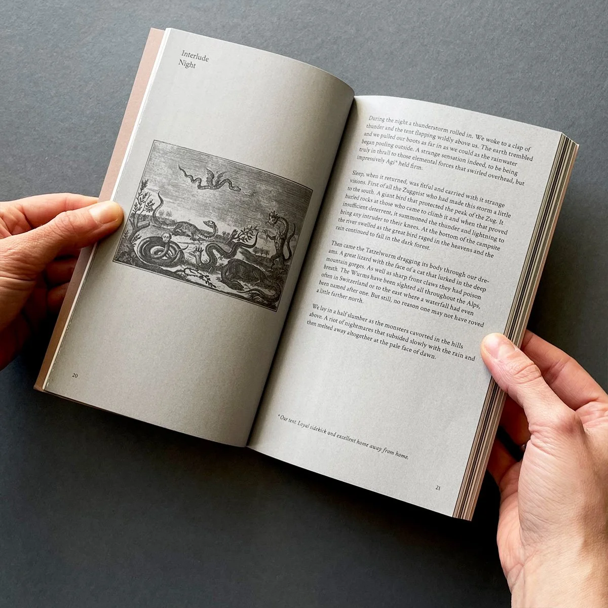 Wanderweg Zine Issue 2 ix.jpg