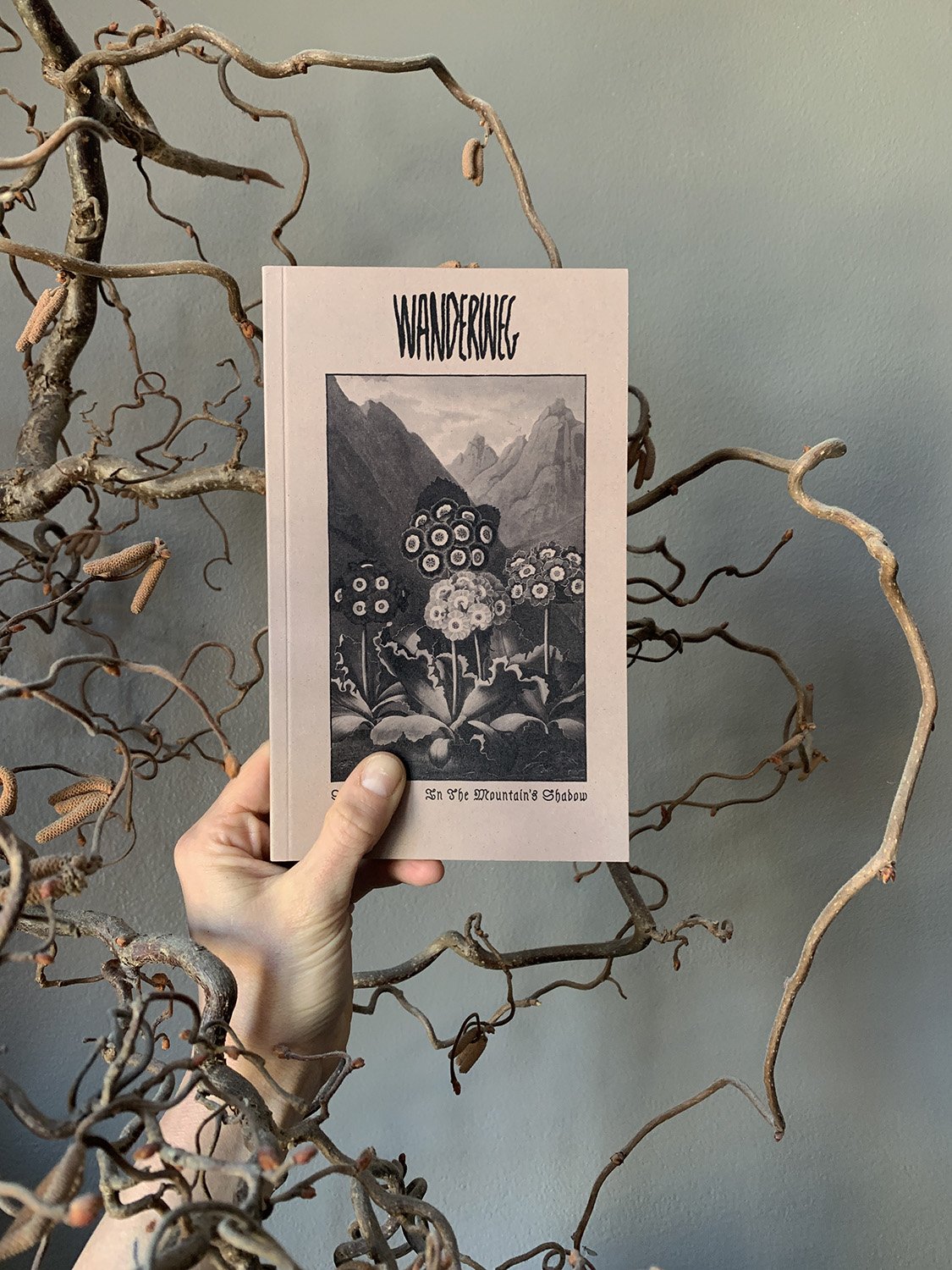 Wanderweg Zine Issue 2 xii.jpg