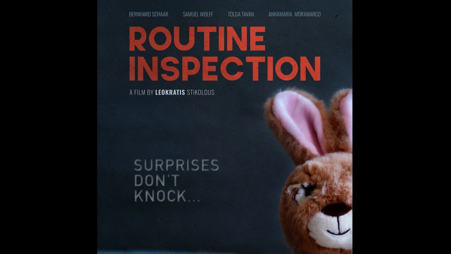 ROUTINE INSPECTION
