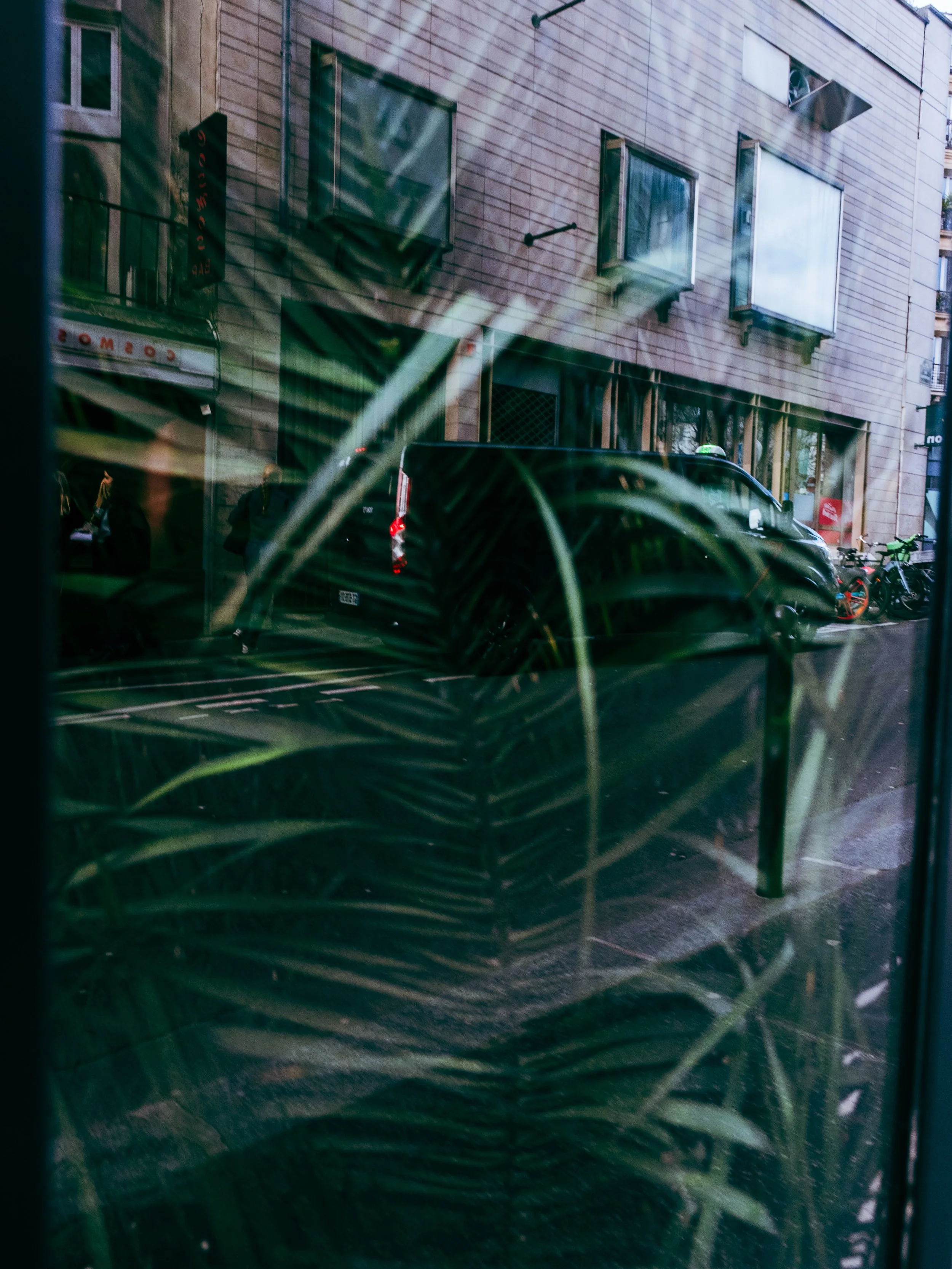 DSCF0209.JPG
