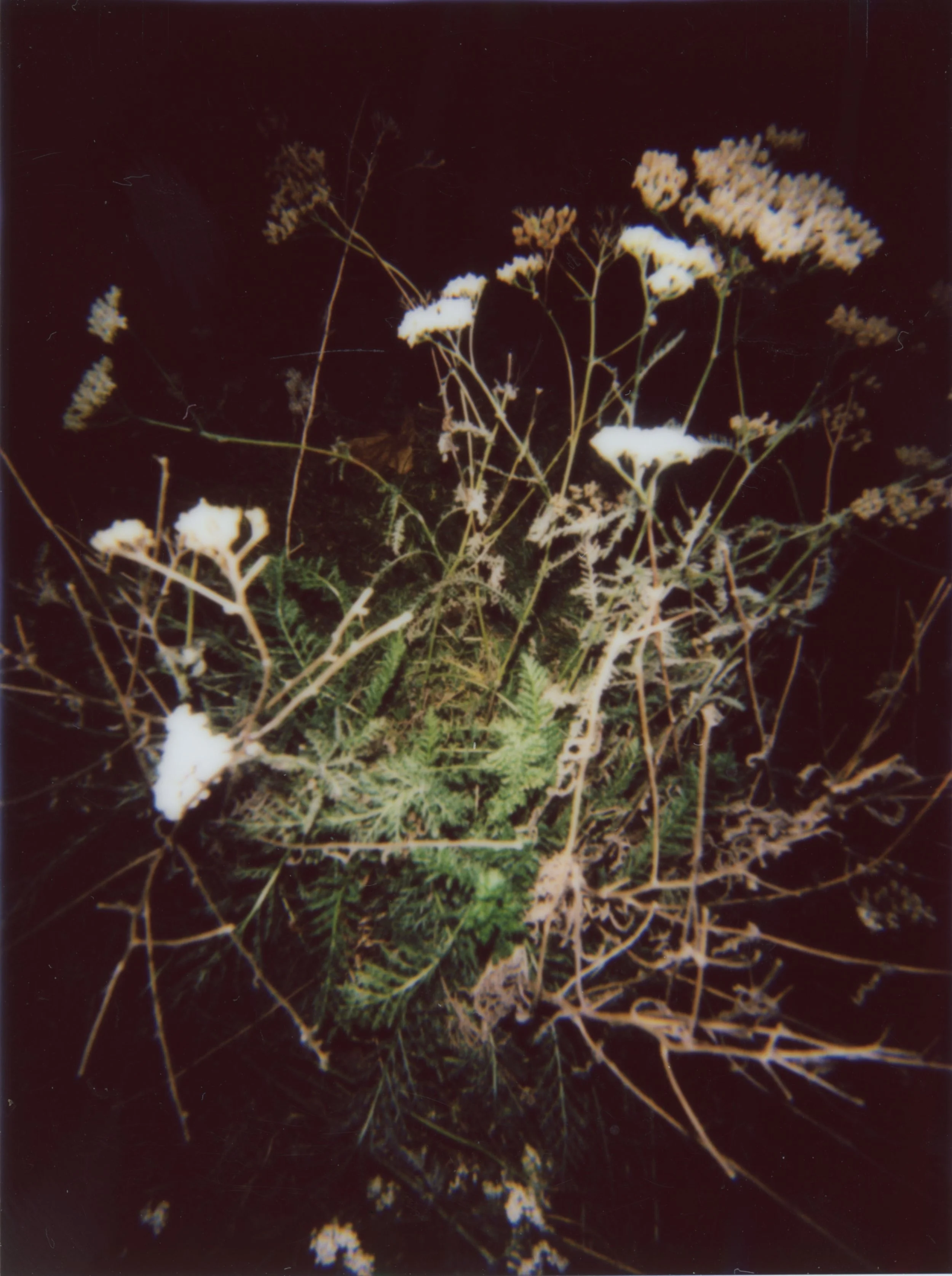 IMG_0834.jpeg