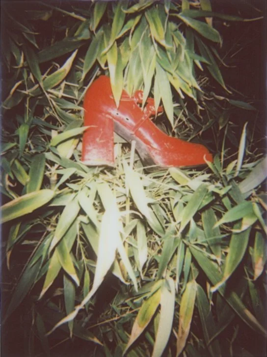 IMG_0818.jpeg