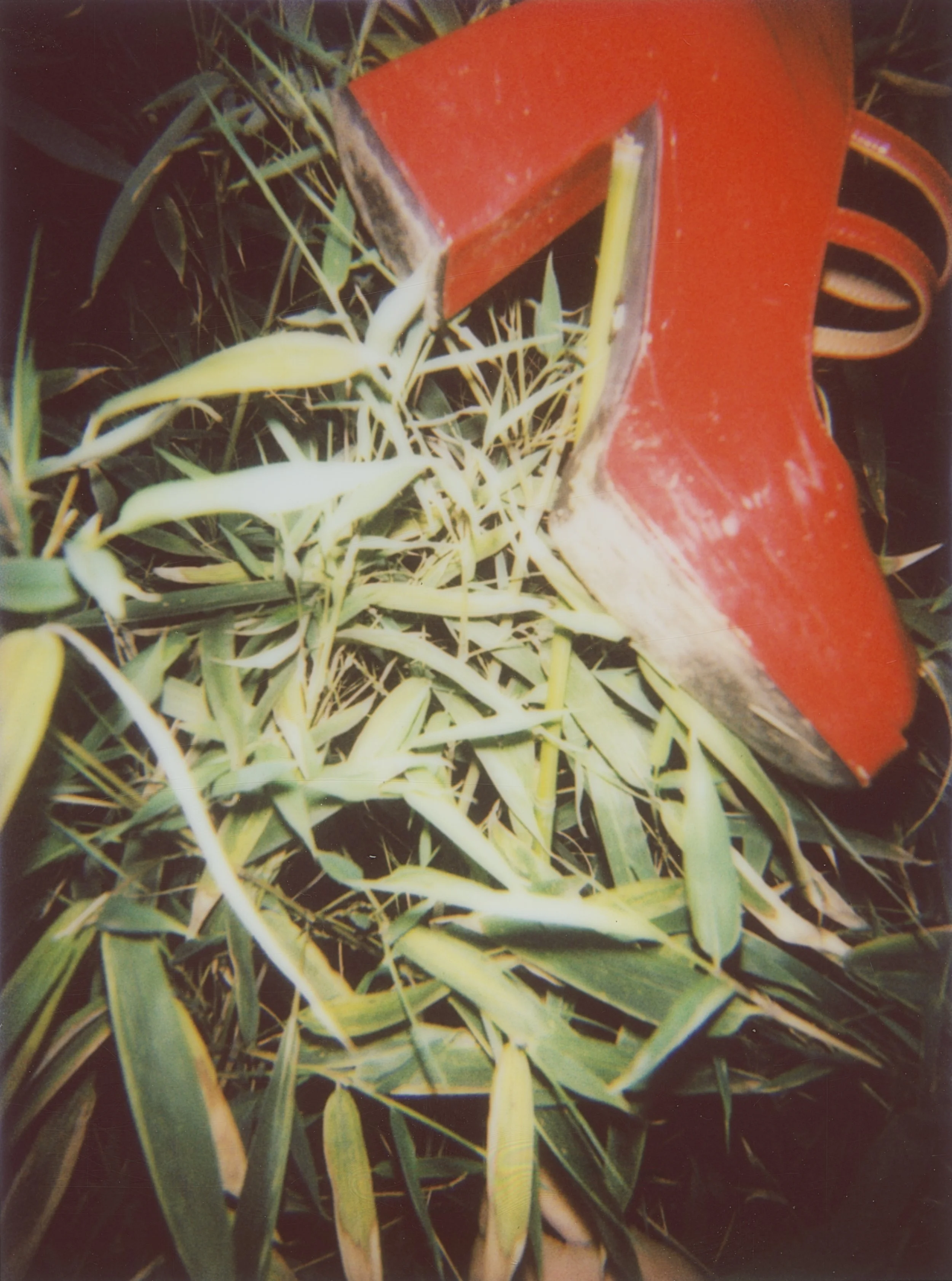 Untitled (3) (4).JPG