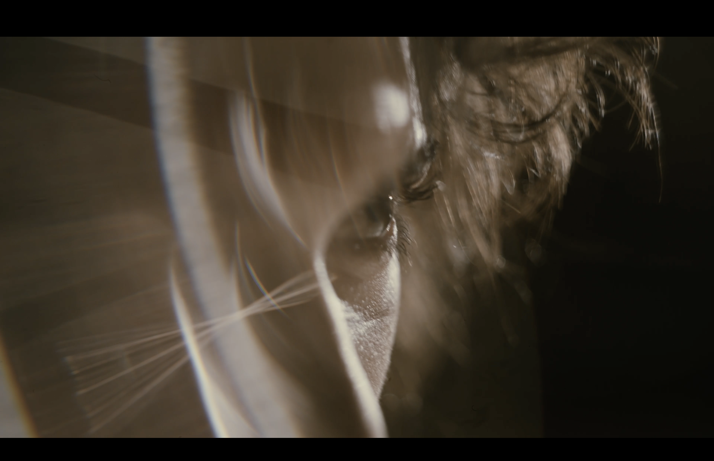 REVOLT_1