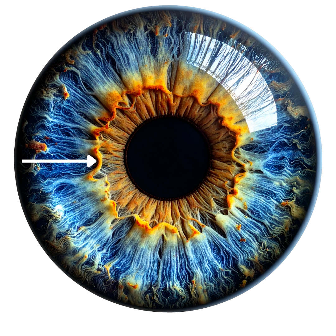 Untitled design (20).png