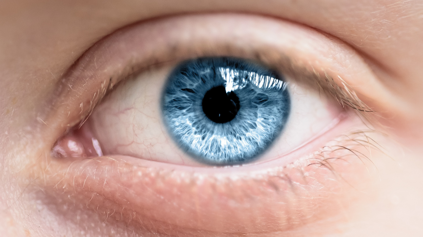 Blue-eyed Humans Have a Common Ancestor