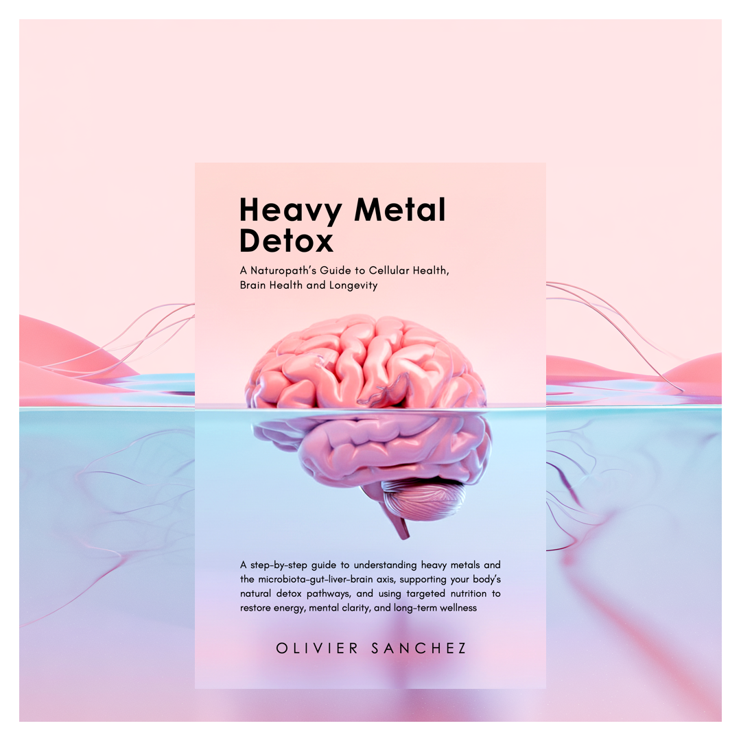 Artwork (book Cover) Heavy Meatals.png