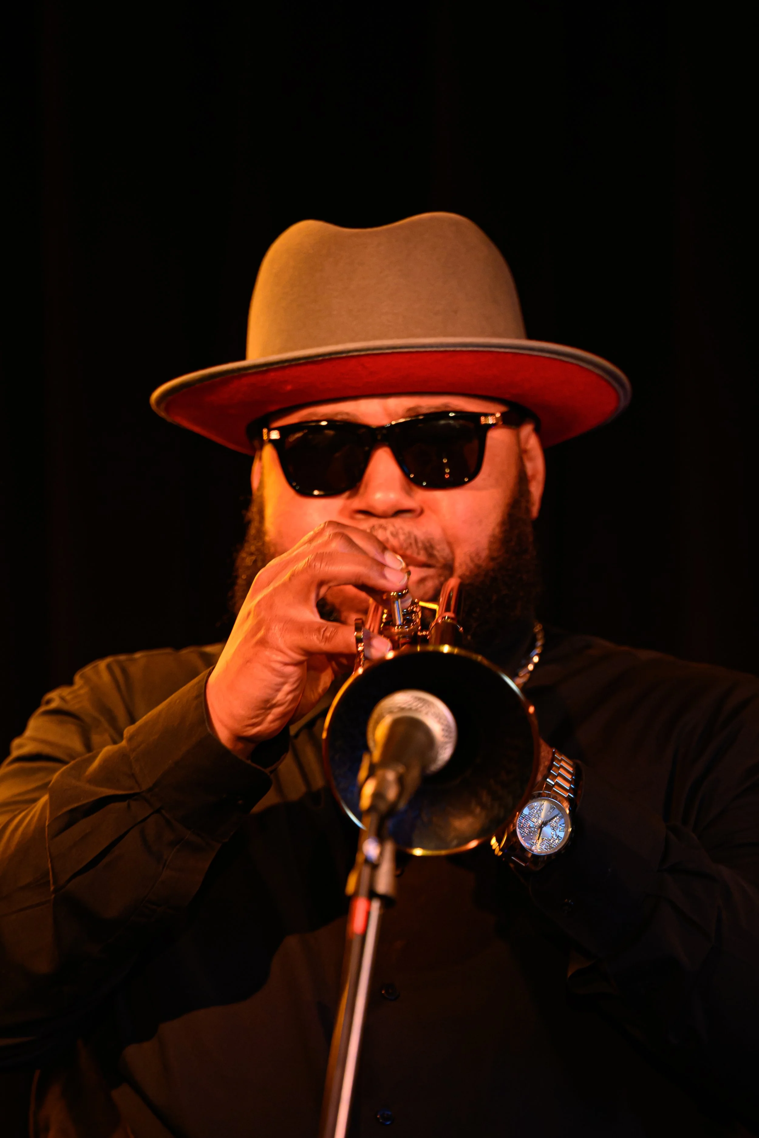 Satish Robertson - Trębacz, Kompozytor,  Producent,  Lider zespołu, Nowy Jork i świat