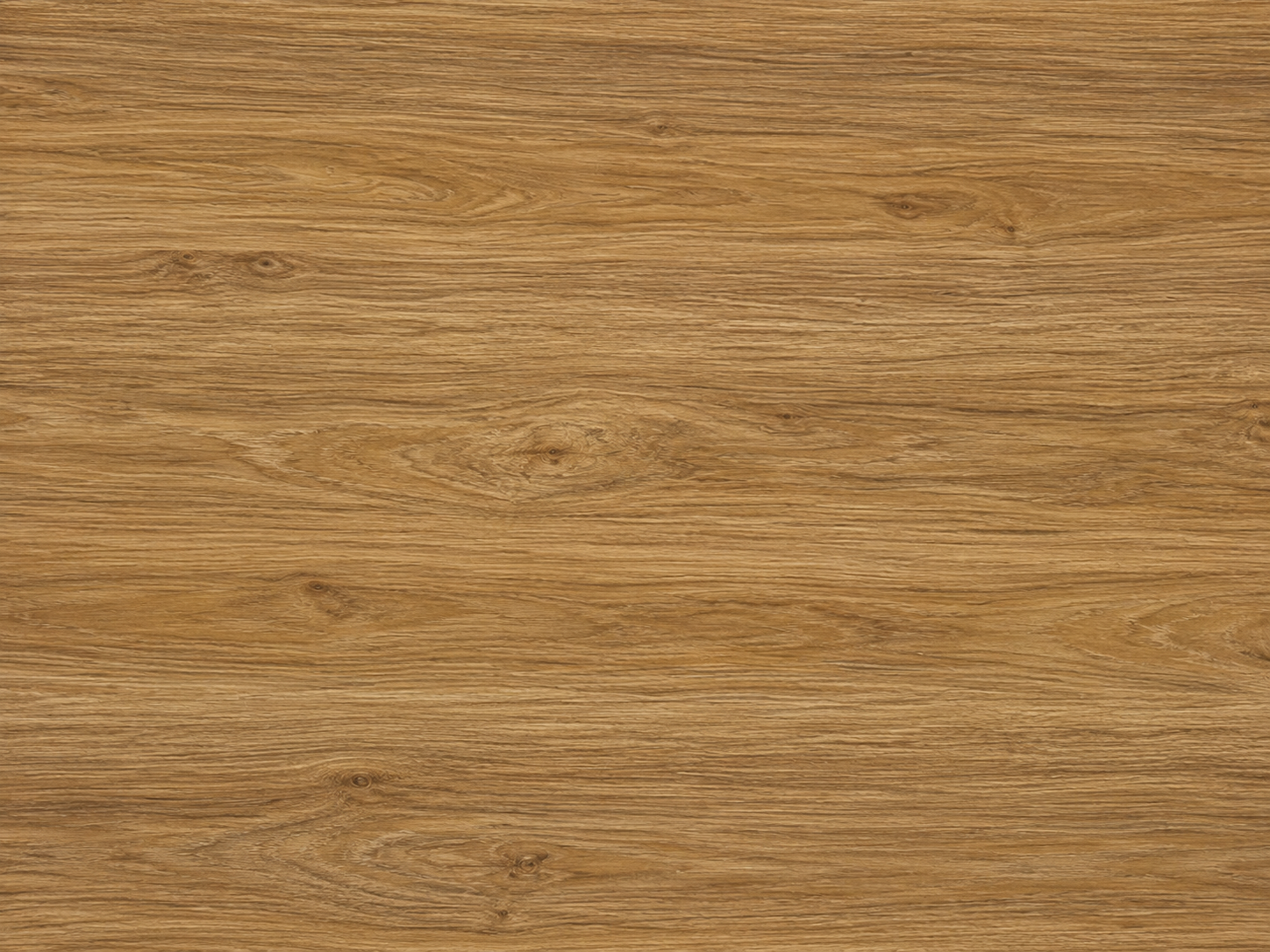734F813A-EEBD-4A7A-8BE3-8B936C047B30.png