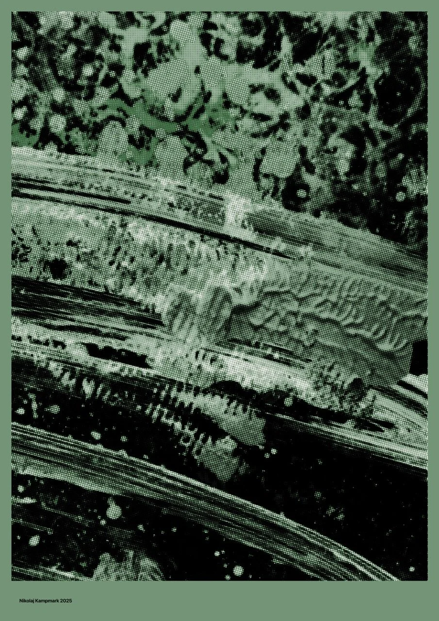 Close-up of stacked U.S. dollar bills, including $20 bills, showing detailed security features and text.