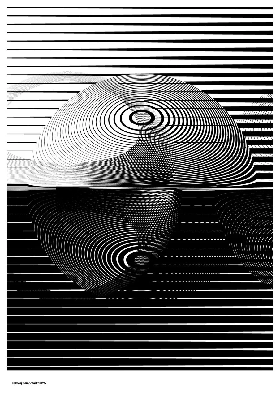 Abstract black and white geometric artwork featuring concentric circles and lines creating a 3D spherical illusion and reflection
