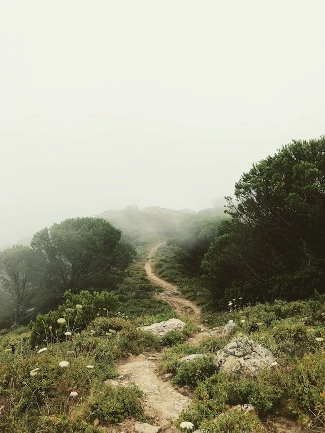 martino-pietropoli-5jz3T5LwuPA-unsplash.jpg