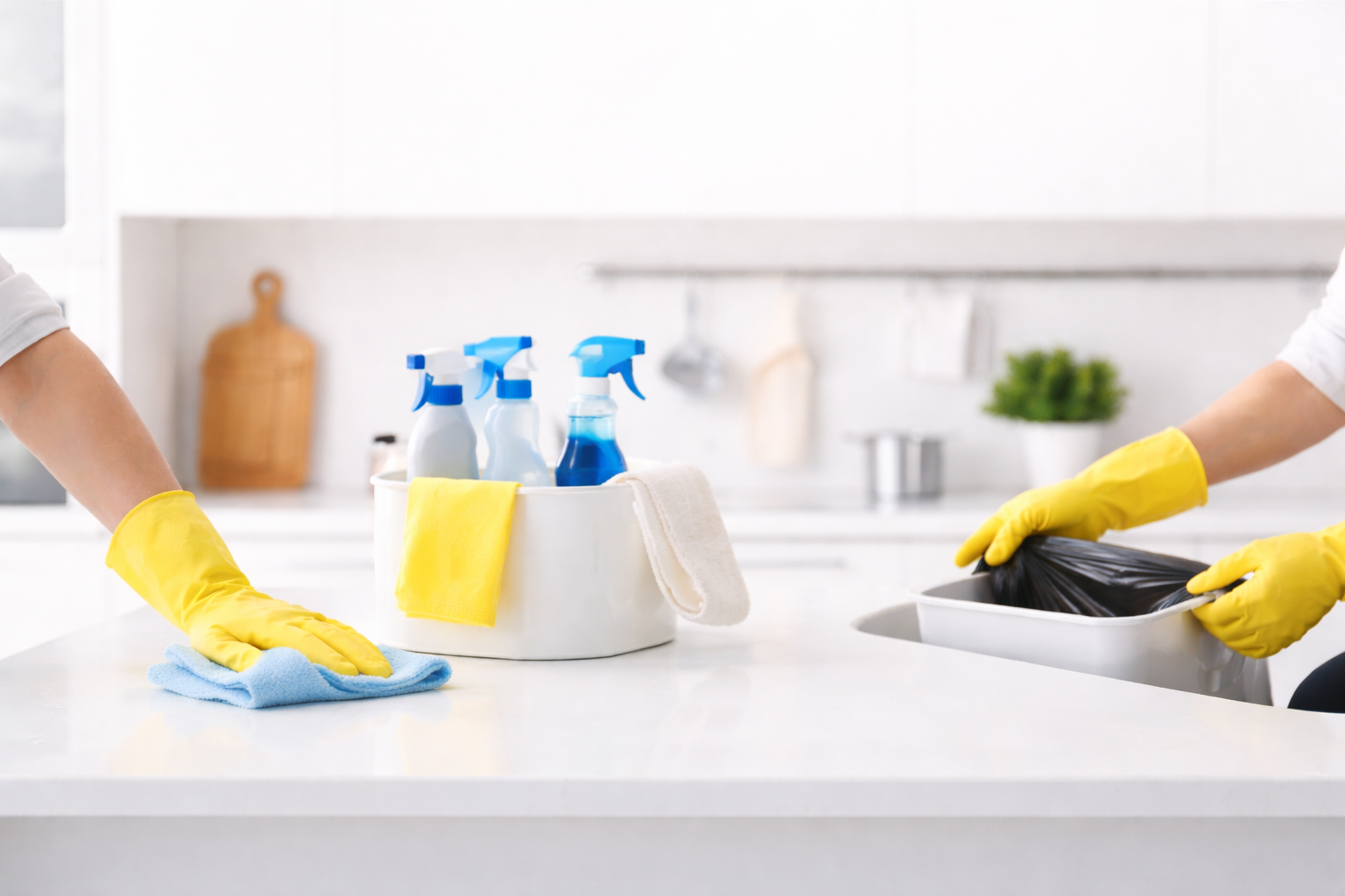 Curățenie de Întreținere