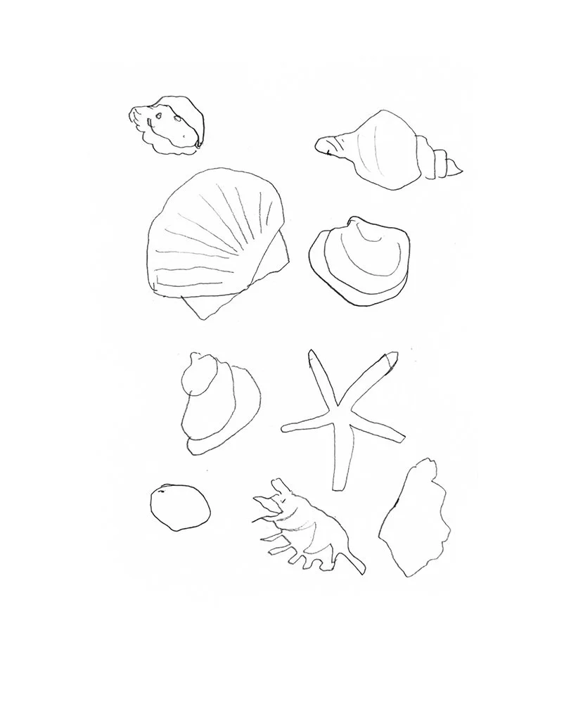 Paper Drawing