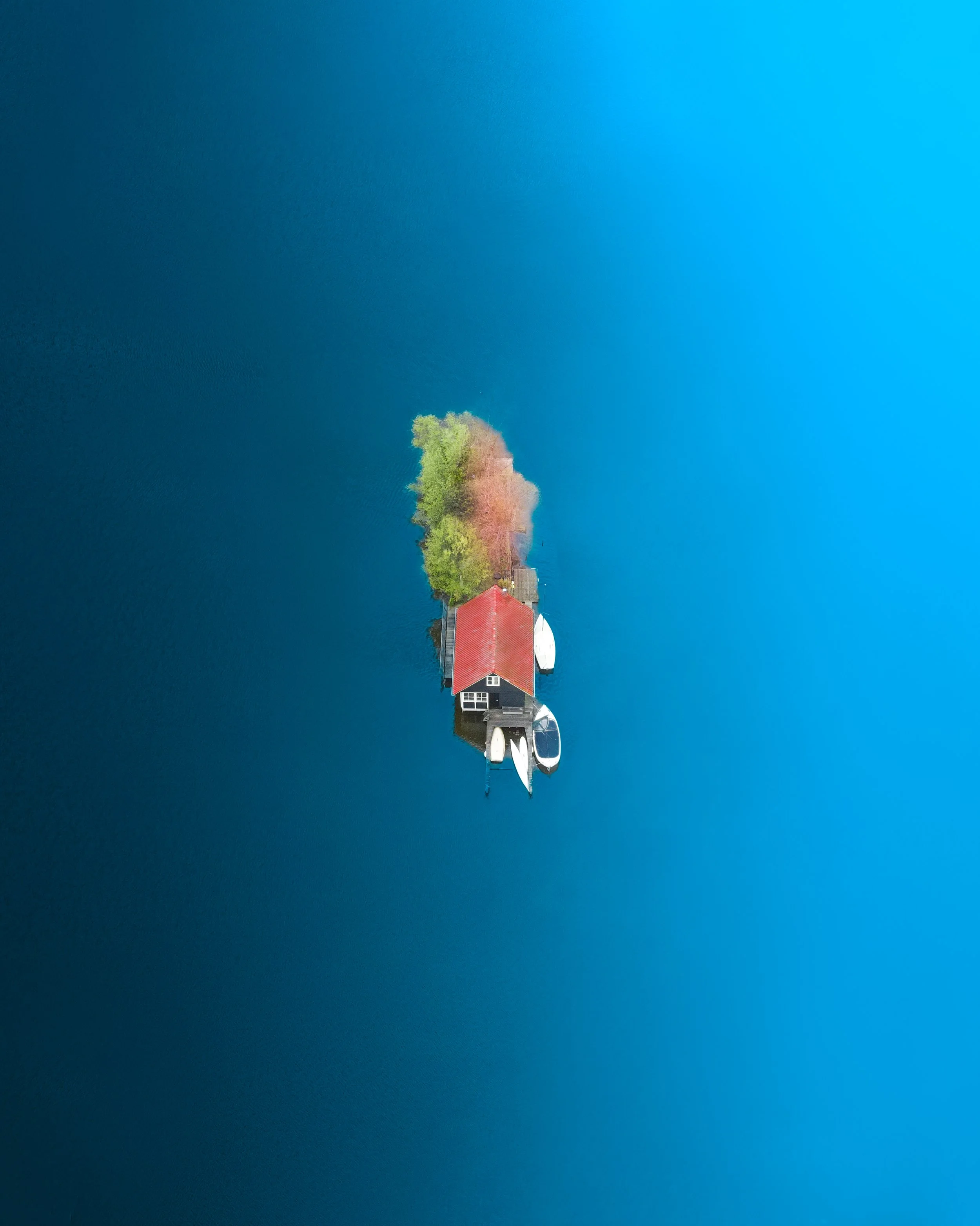 Fine dine.jpg