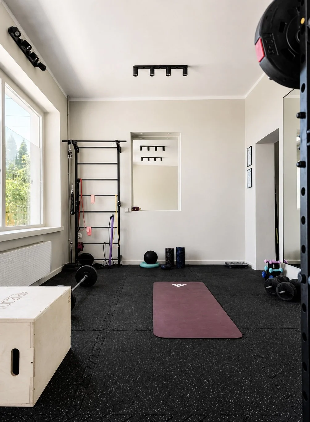 An organized home gym with exercise equipment, a barbell, kettlebell, workout mat, and fitness accessories.