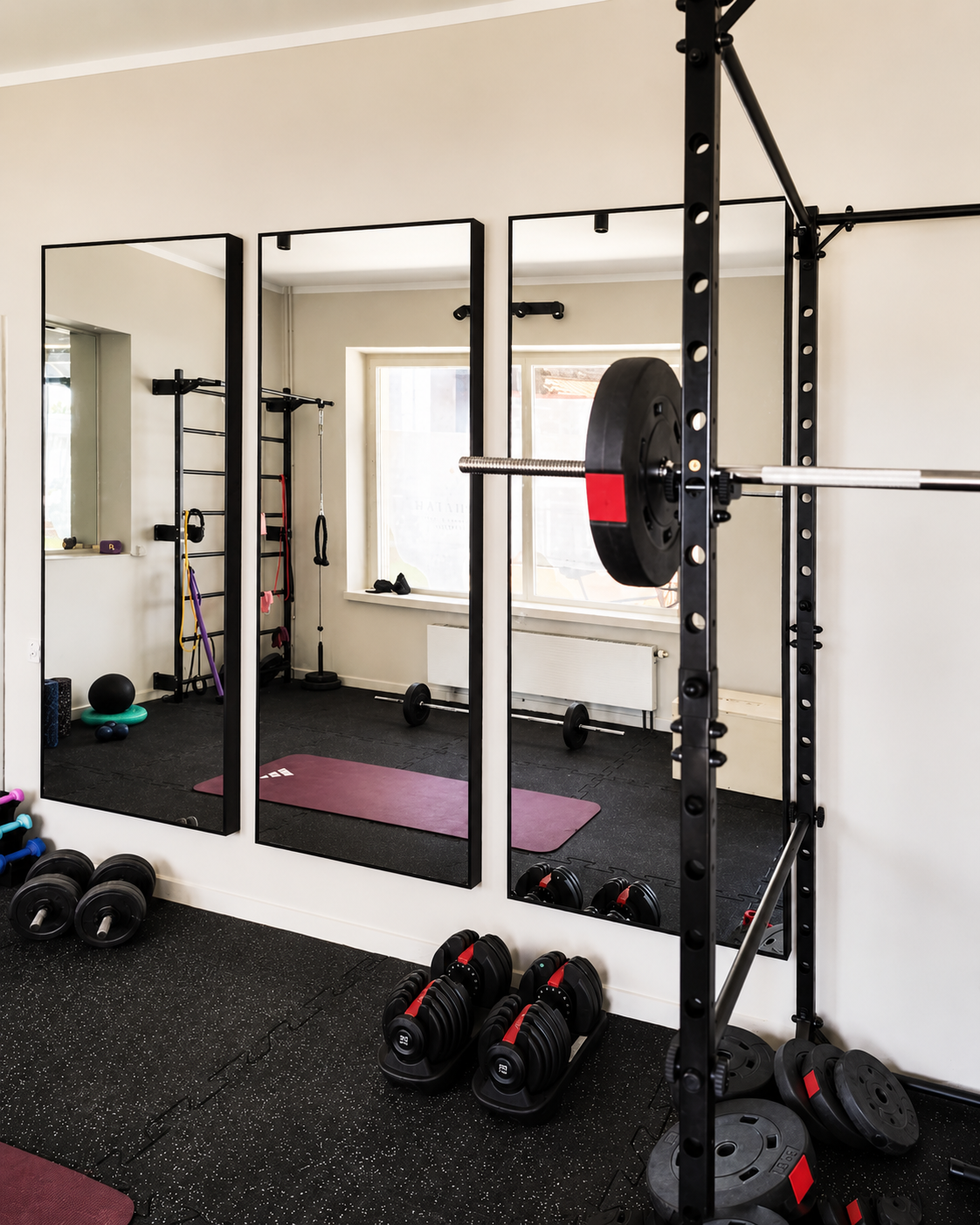 A home gym featuring black weightlifting equipment, dumbbells, mirrors, a pink exercise mat, and exercise rings near the window.