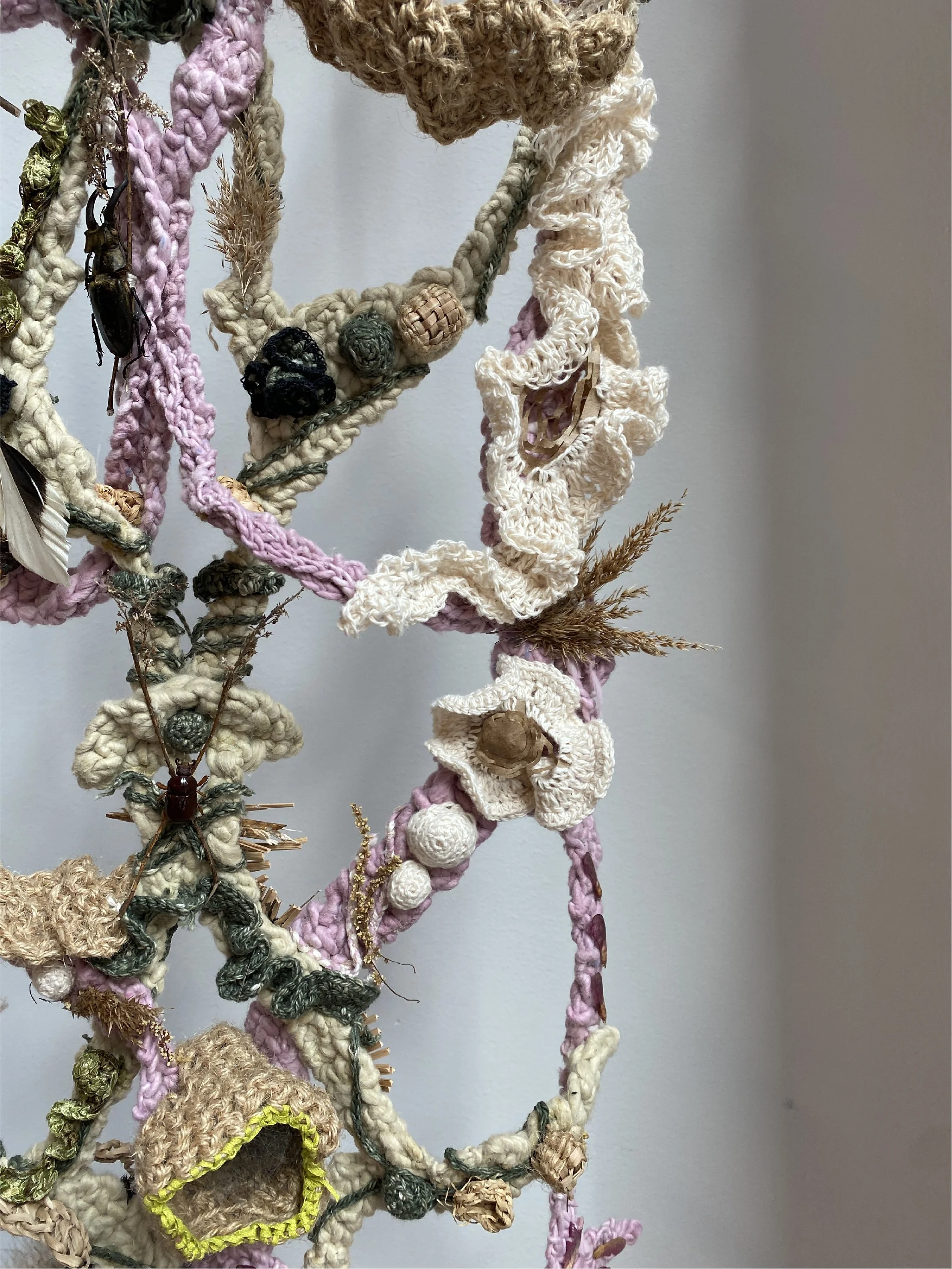 The Coexistence-natural