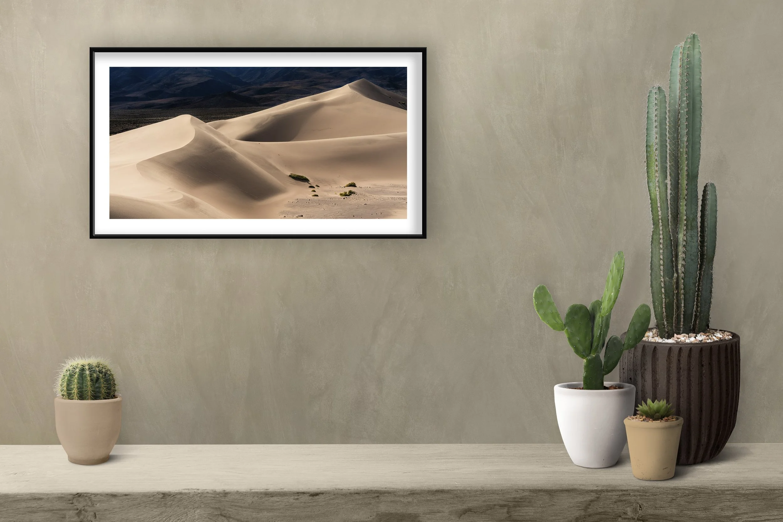 Cactus Shelf Sand Dune 3.jpg
