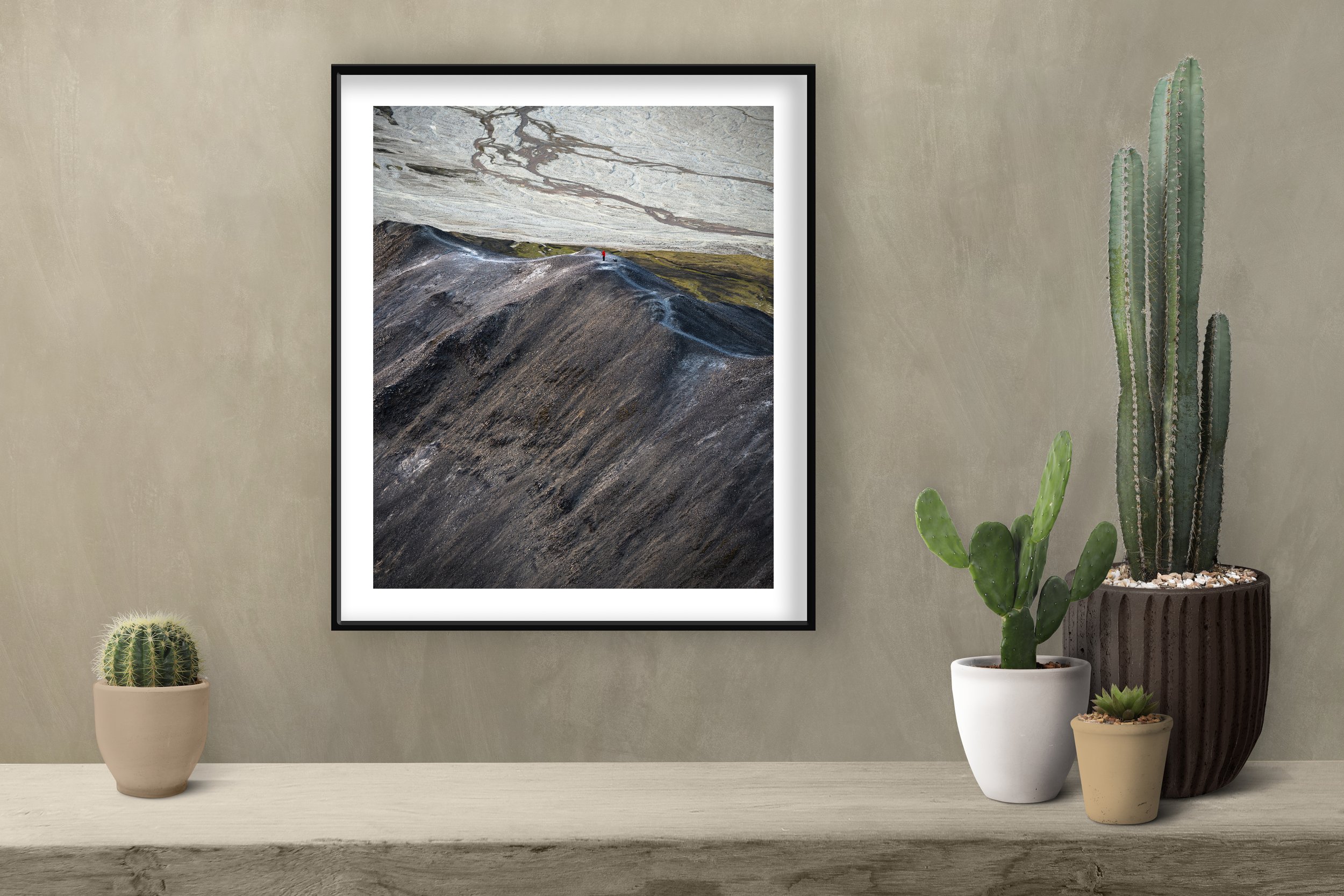Cactus Shelf Iceland Photographer.jpg
