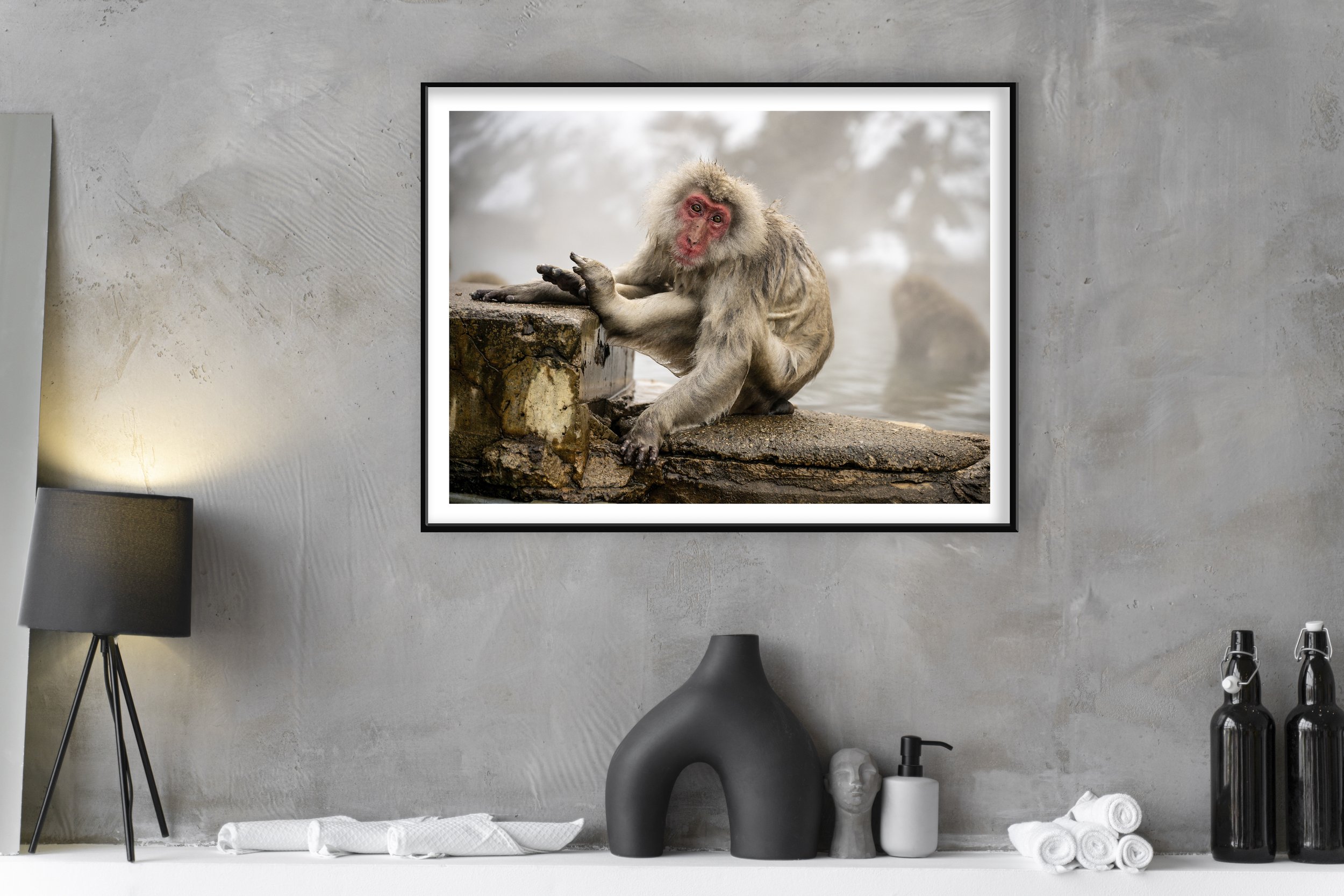 Minimal Gey Shelf Japan Monkey 3.jpg