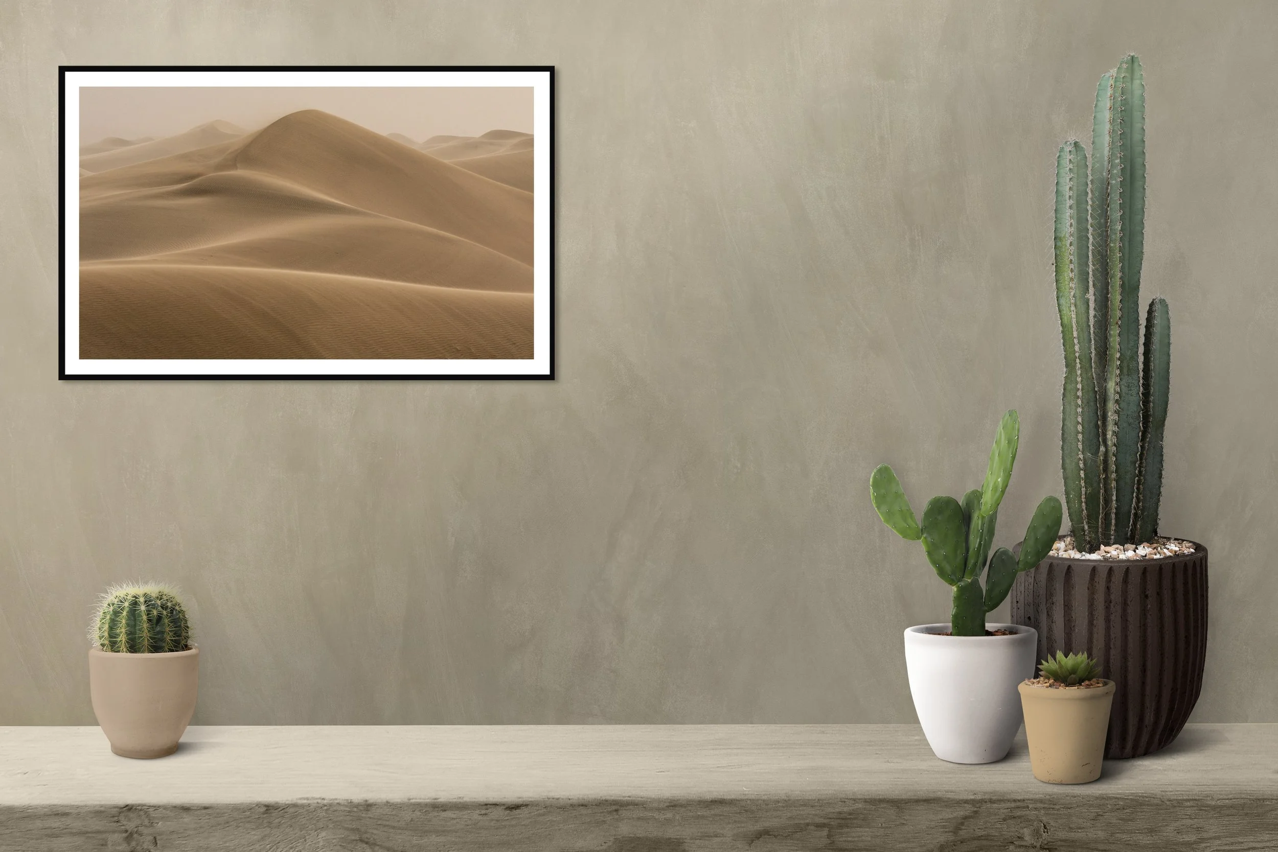 cactus-shelf-by-blank-wall-background copy.jpg