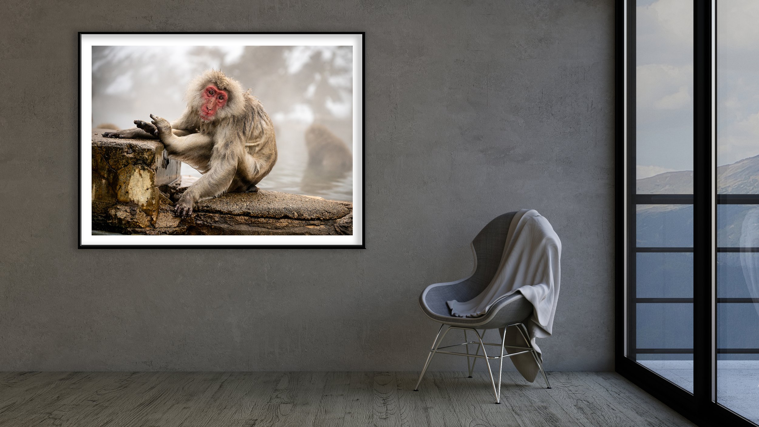 Contemporar Empt Room and Chair Japan Monkey 3.jpg