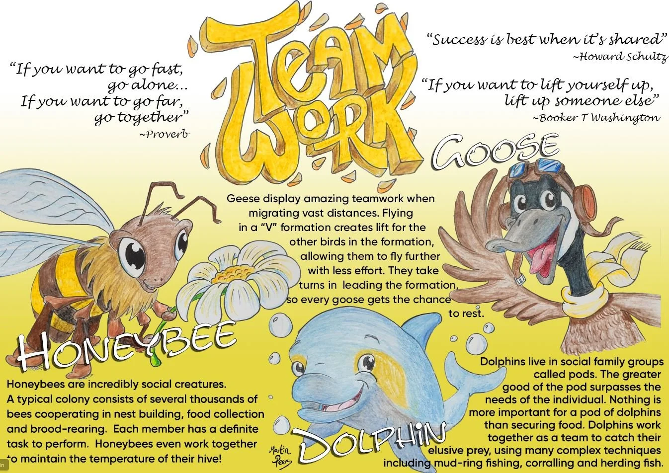 Teamwork: Initial concept board - ink, pencil and Photoshop.  Ideas for animal characters to represent the value, along with appropriate quotes and research on justification for choices