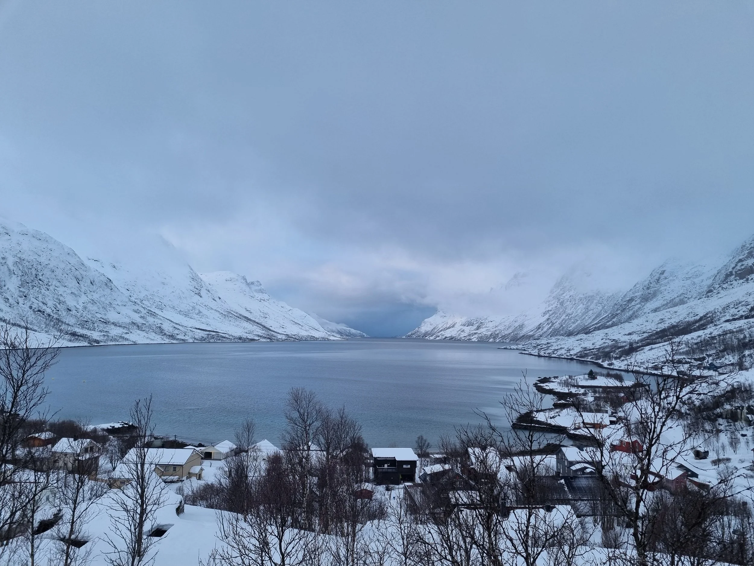 A majestic snowy landscape of the Ersfjord in Northern Norway, with tall snowy mountains rising either side of a crystal blue fjord. Taken on the morning of a wedding.