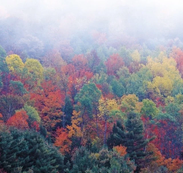 When Ideals Become Ideology