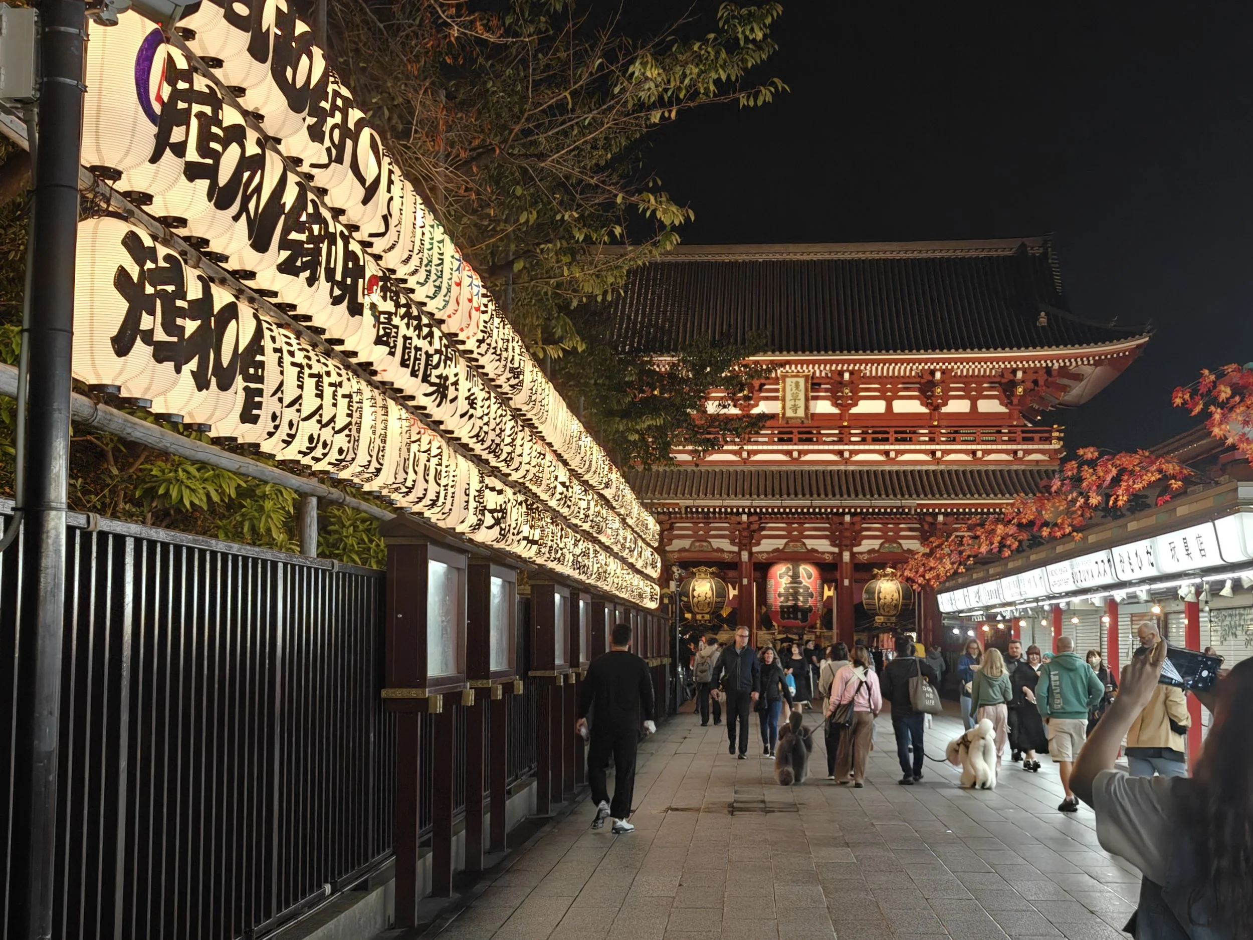 Night scene at a Japanese temple with people walking and taking photos, illuminated paper lanterns with Japanese characters hanging on the left, traditional temple building in the background, and autumn leaves on the right.