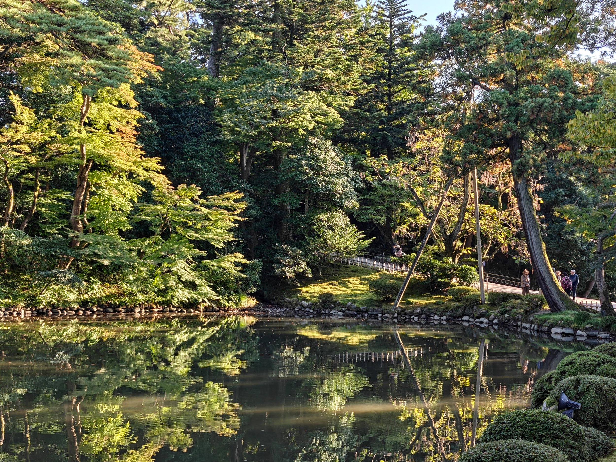 A tranquil garden with a pond reflecting green trees and a pathway with people walking.