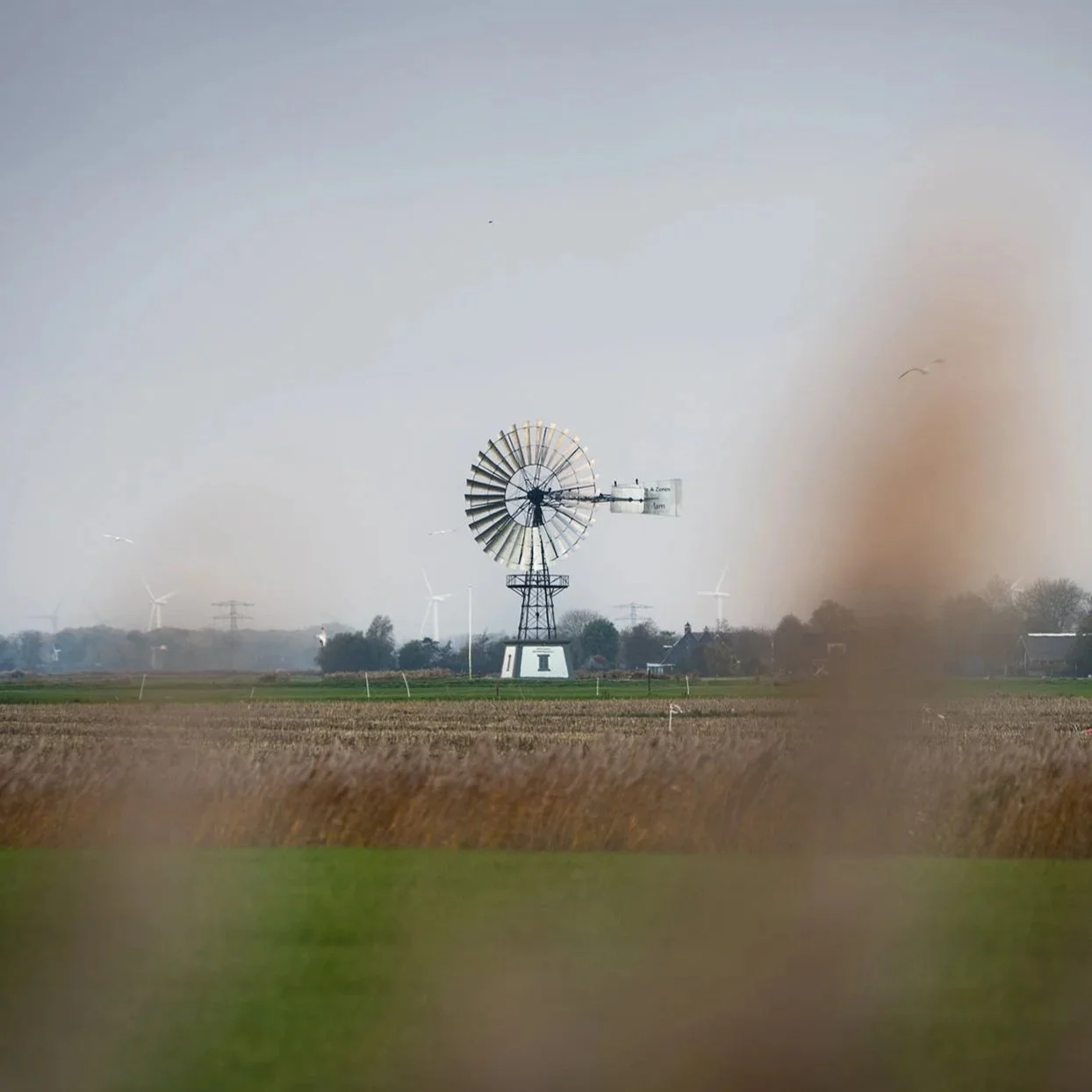 02-11 Een klein rondje