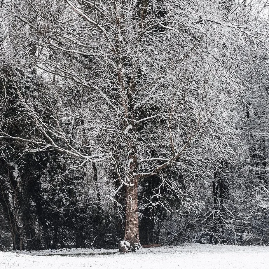 05-01 Winter in Friesland