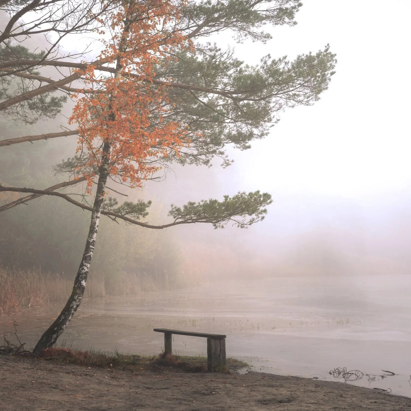 08-11 Beetsterzwaag mist