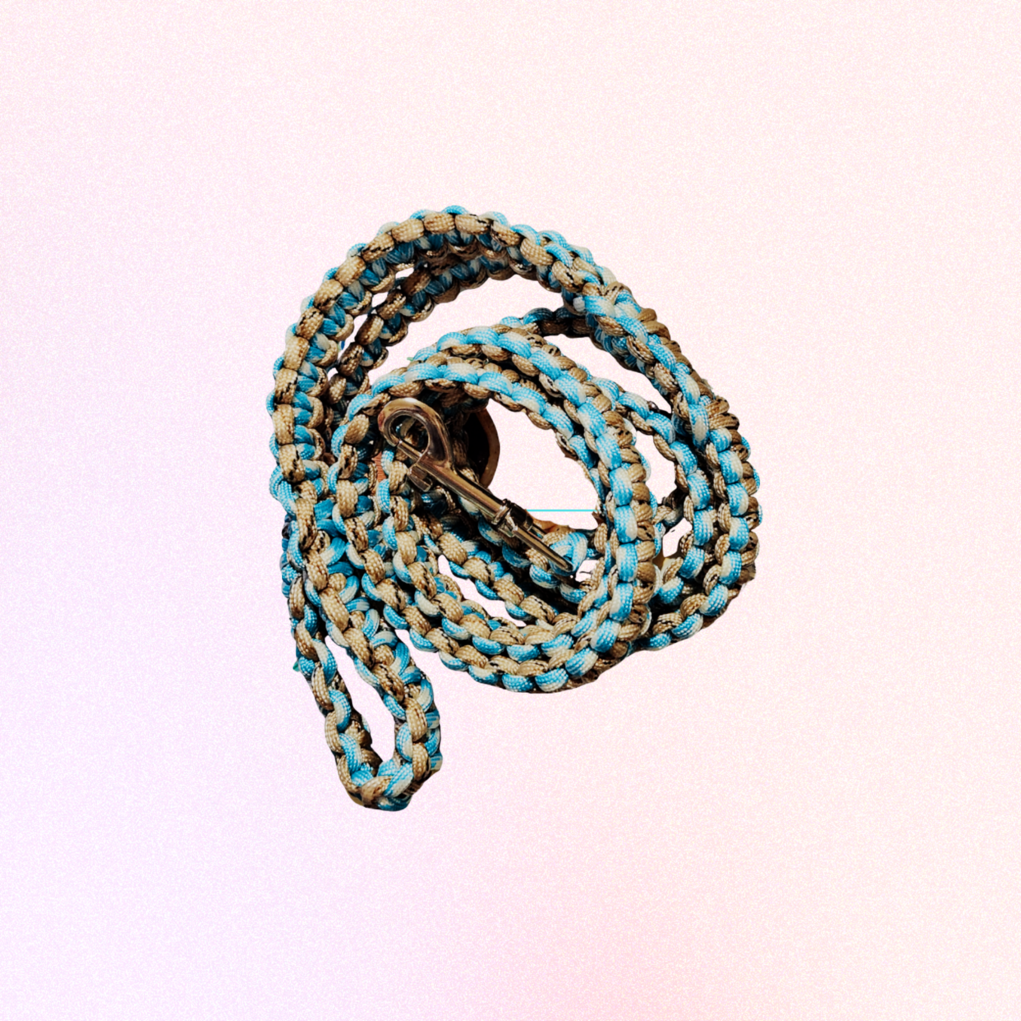 Bold  Paracord Dog Lead