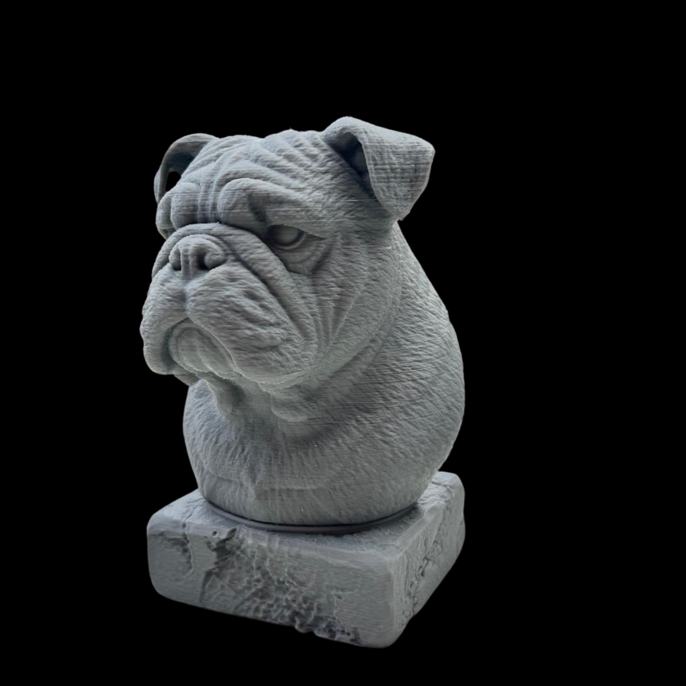 bulldog bust 2 .png