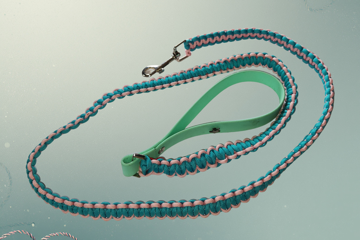 Chic Biothane Paracord Dog Lead - 144 cm